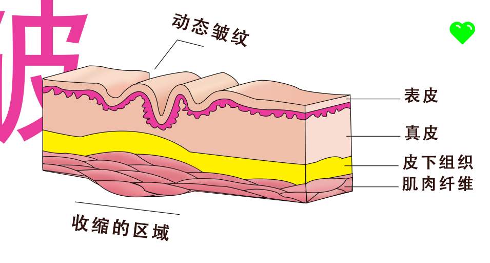 皱纹可以按摩掉吗？