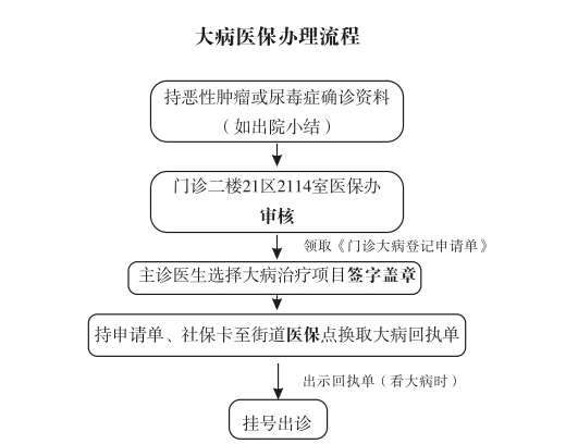 大病医保